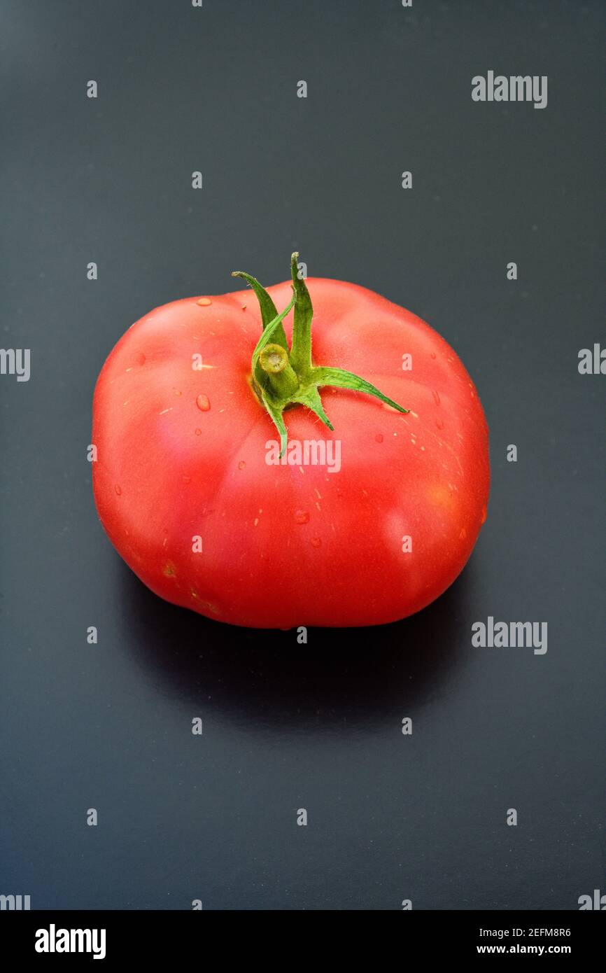 Berner Rose Tomato (Solanum lycopersicum) Stock Photo
