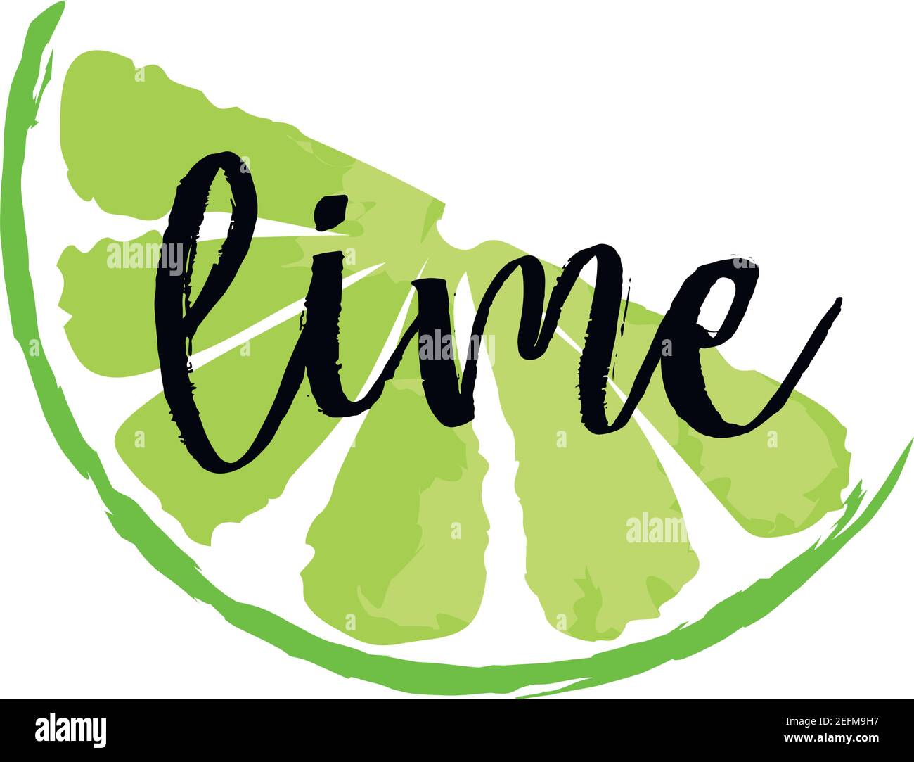 Lime fruit label and sticker. Vector illustration in watercolor style, for graphic and web design Stock Vector