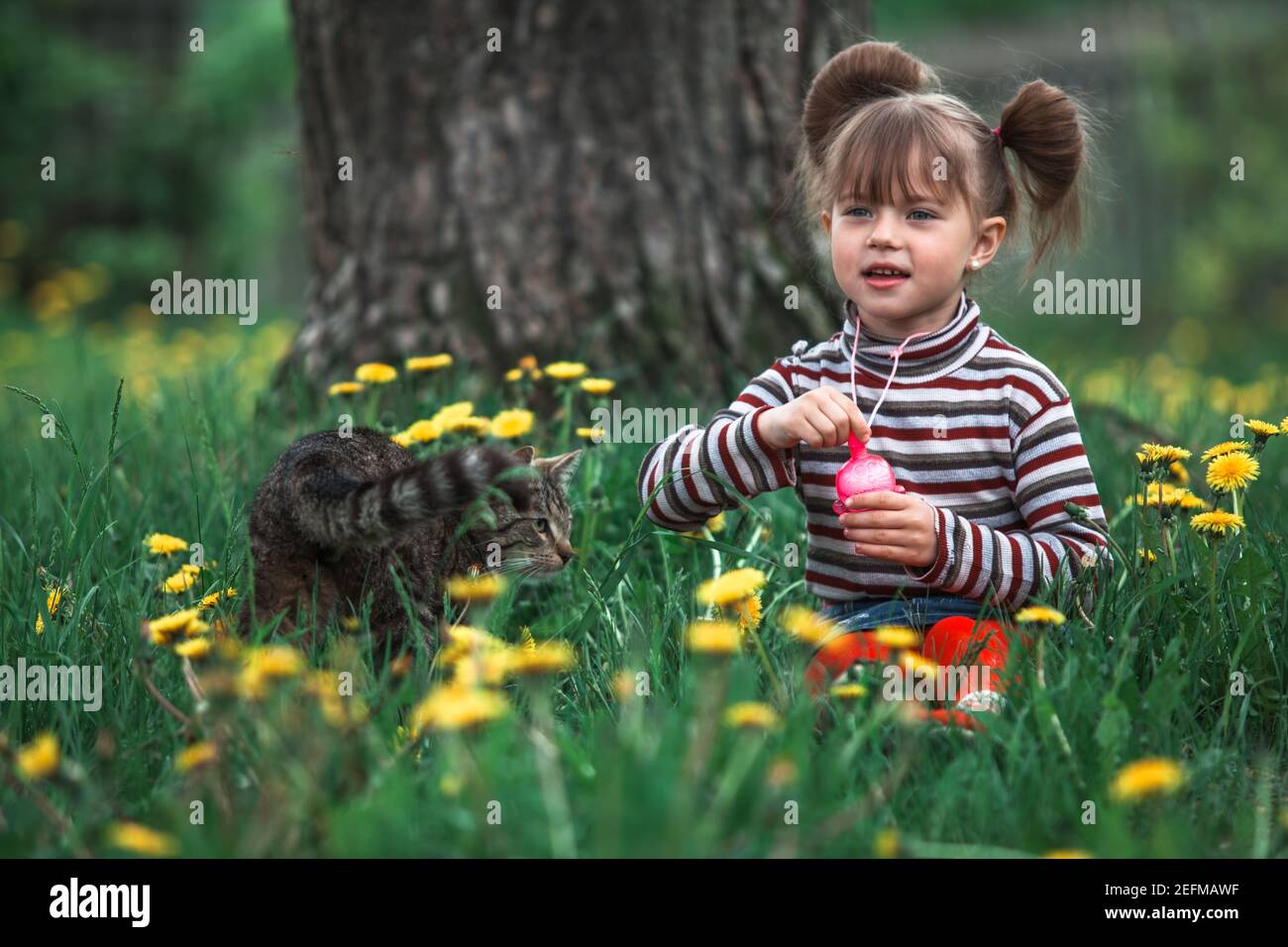 Little girl playing with a cat and soap bubbles in the green park Stock ...