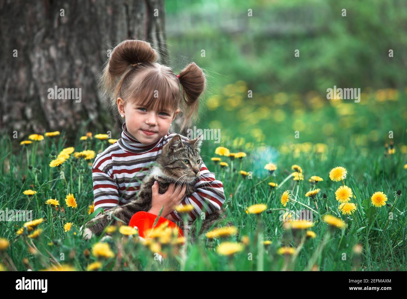 Little girl playing with a cat in the green park Stock Photo - Alamy
