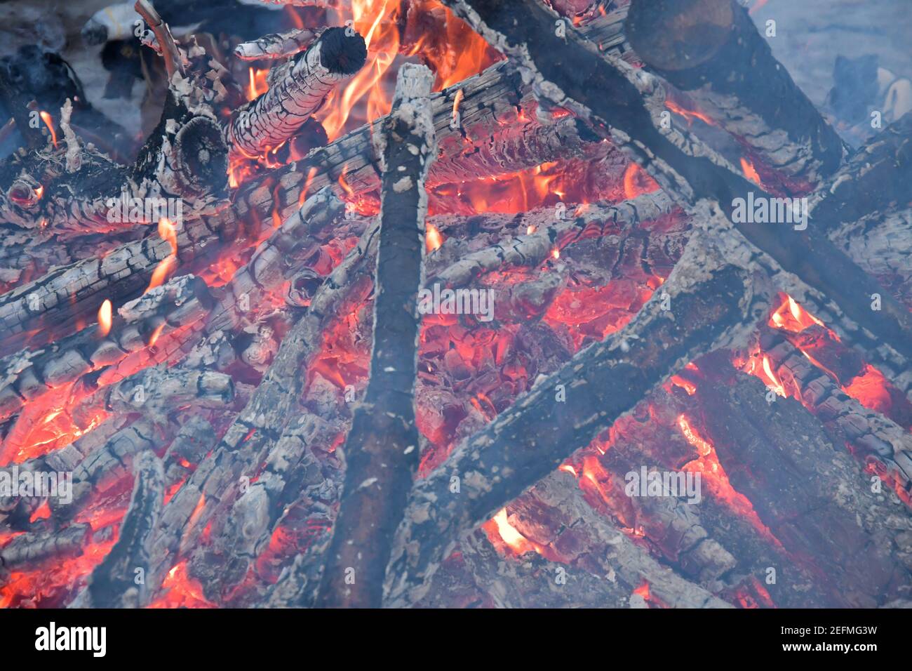 Fire, campfire, heat, burning firewood Stock Photo