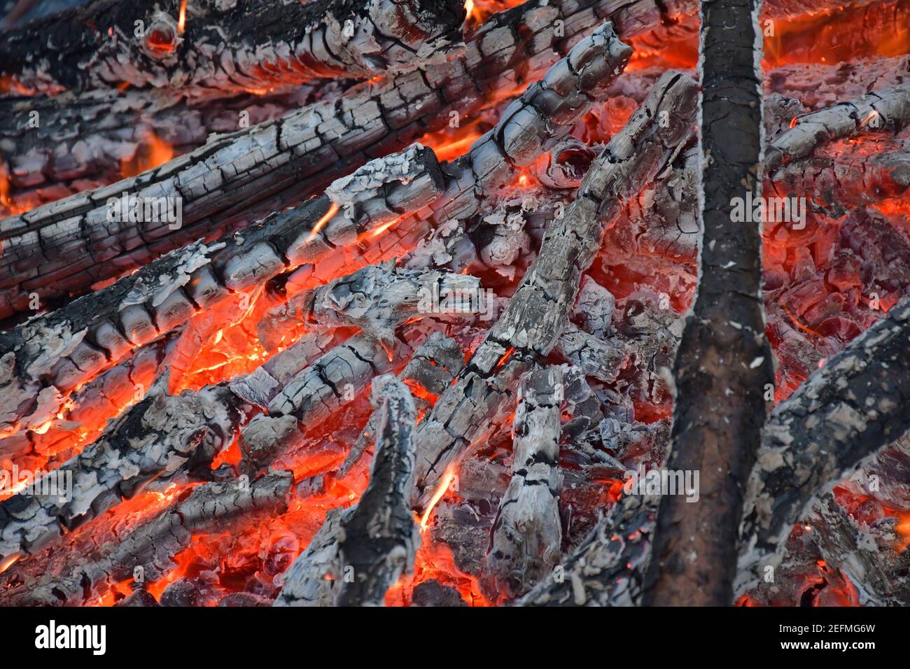 Fire, campfire, heat, burning firewood Stock Photo