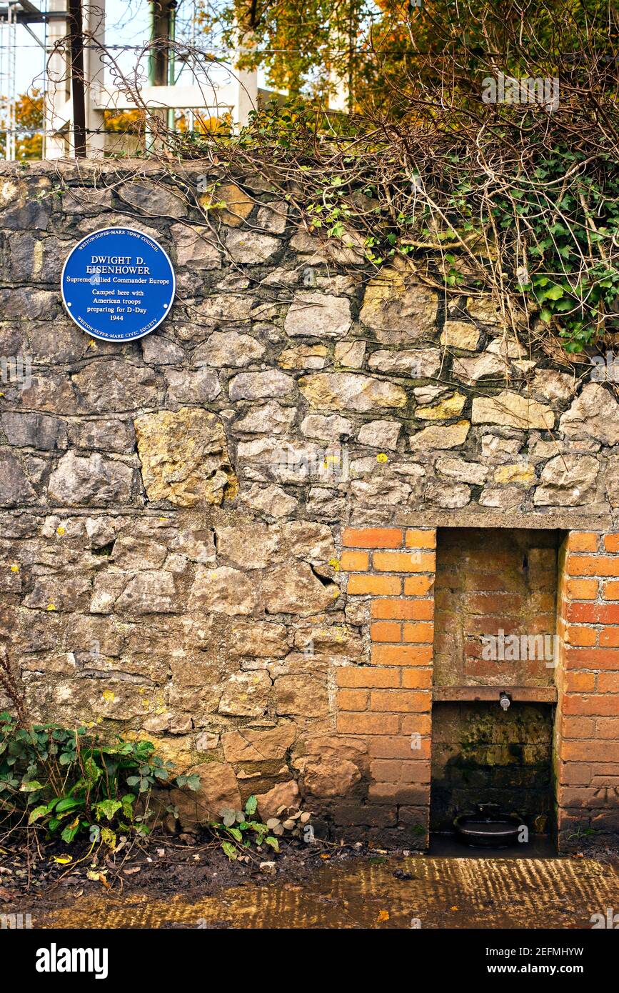 Blue plaque marking where General Dwight D Eisenhower camped in 1944 in Weston Woods, Worlebury Hill, Weston-super-Mare, Somerset England Stock Photo