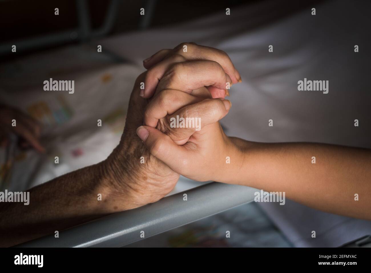 granddaughter holding the hand Stock Photo