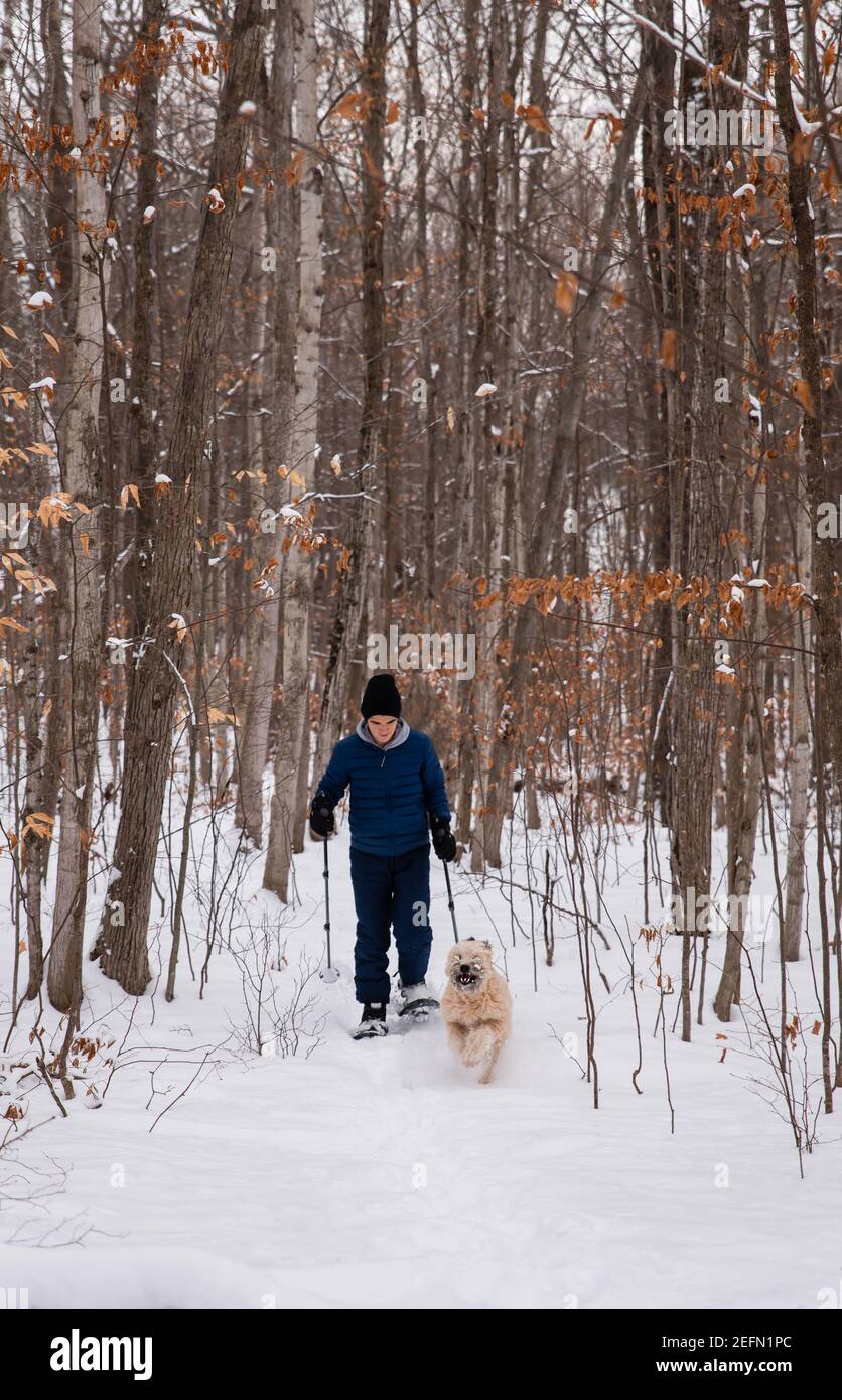 Teen boy snowshoeing with dog in the woods on a snowy winter day Stock