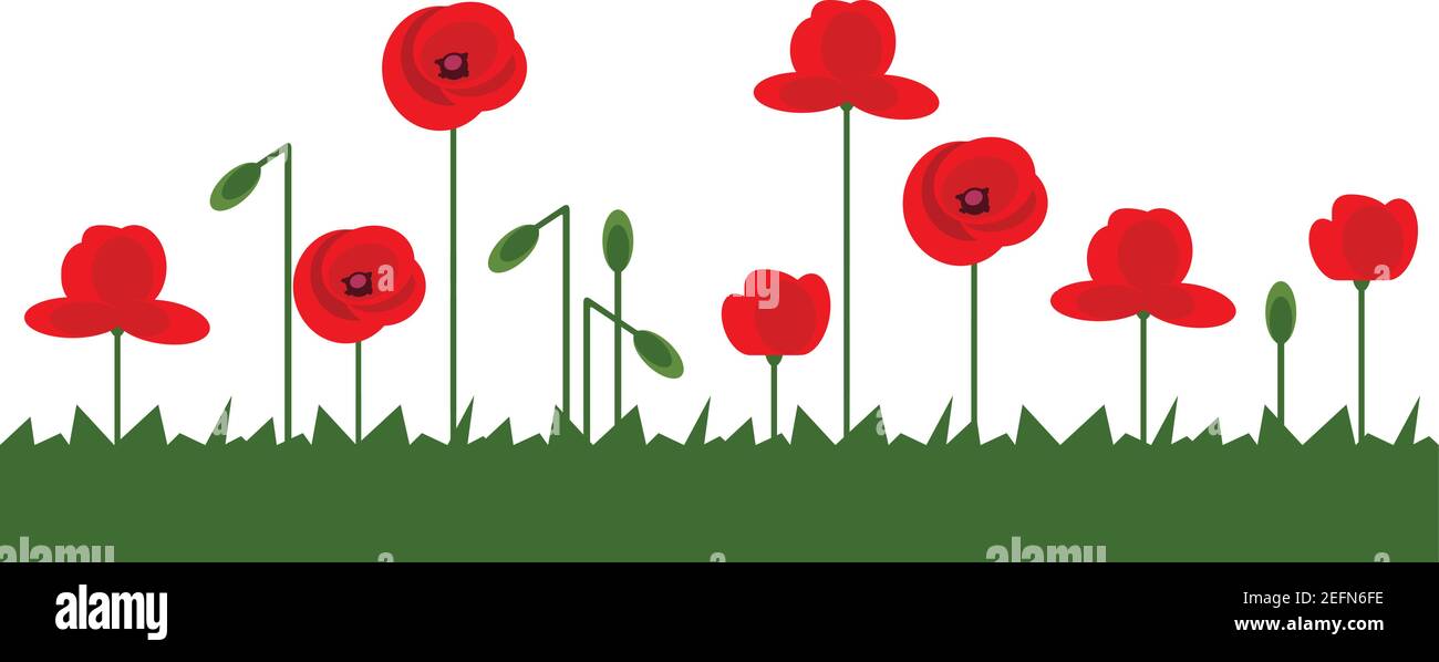 Red Poppy flower web banner Background Vector illustration Stock Vector ...