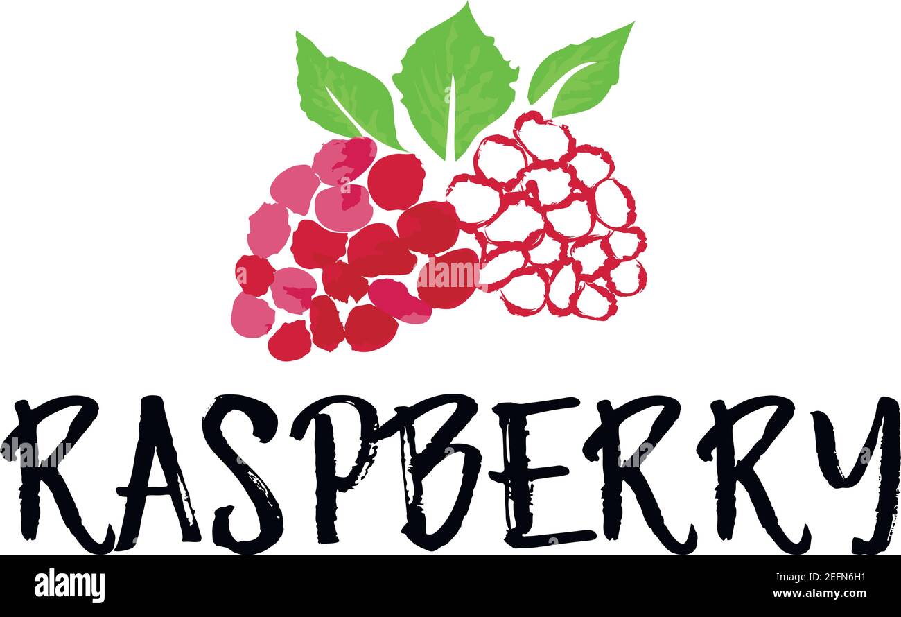 Raspberry fruit label and sticker. Vector illustration in watercolor style, for graphic and web design Stock Vector