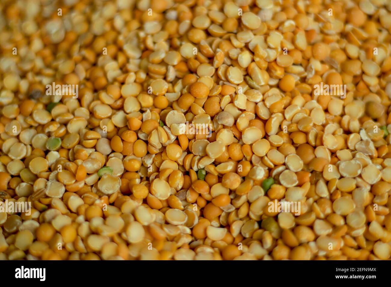 Like yellowish Chickpeas are whole legumes commonly known as garbanzo