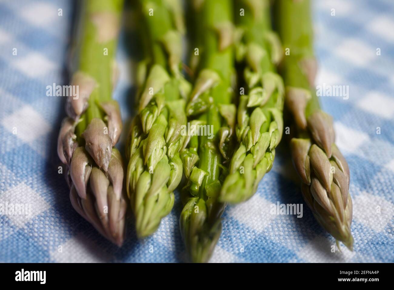 stalks of fresh, raw, green asparagus Stock Photo