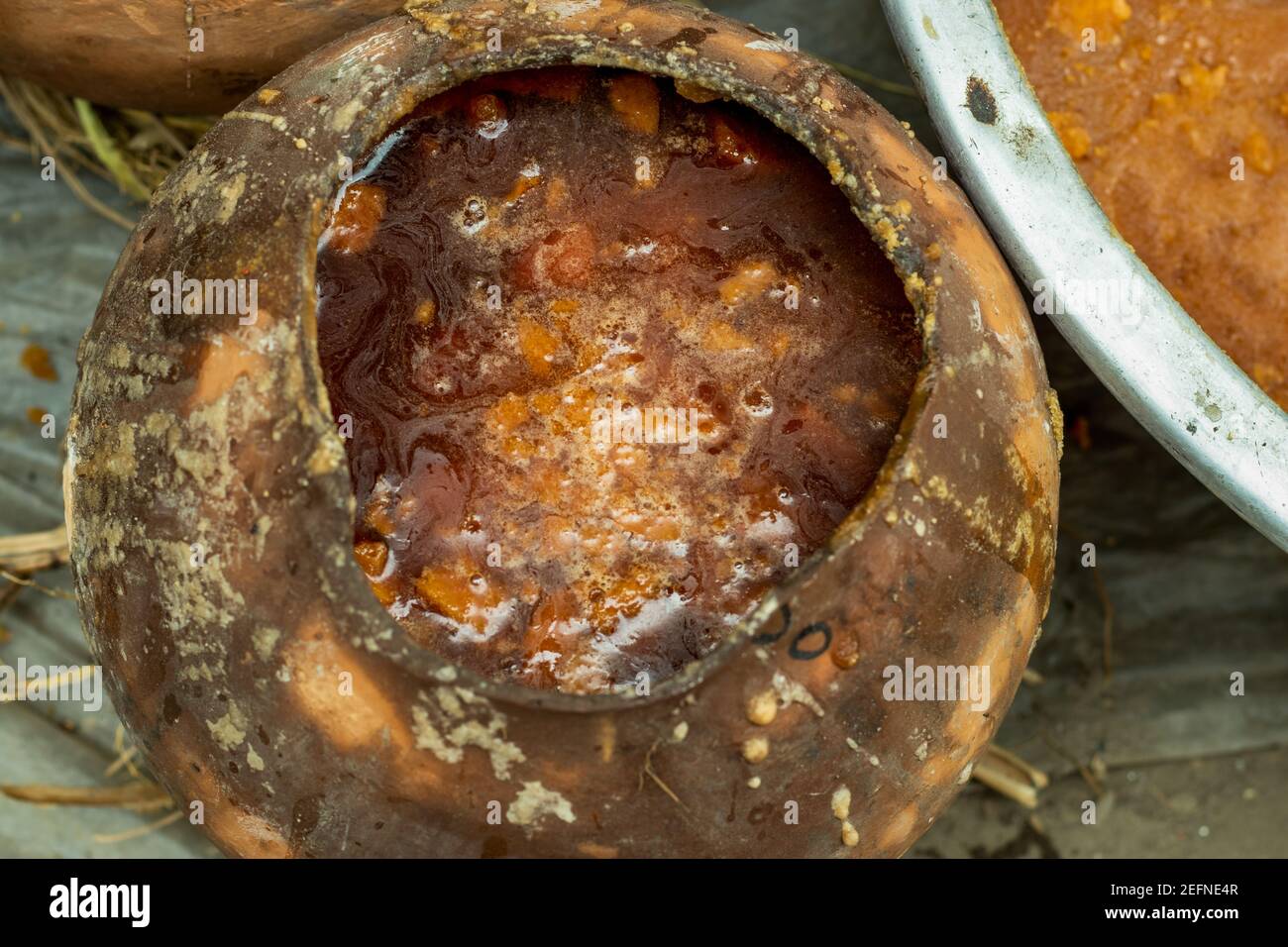 Patali Gur Date Palm Jaggery, also known as Khejur Gur, Nolen Gur, and this is a staple winter sweet ingredient or even consumed as a tiny dessert at Stock Photo