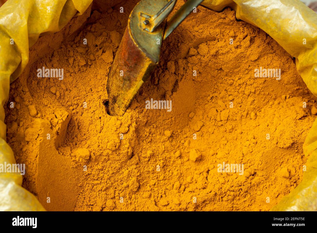 Untried turmeric is an ingredient in curry cooking also Yellow is the color between orange and green on the spectrum of visible light Stock Photo
