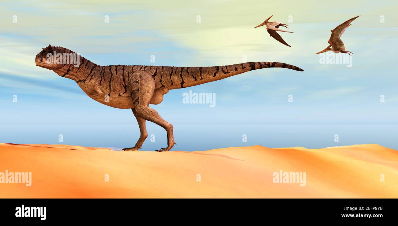 Pteranodon flying reptiles follow a Carnotaurus theropod dinosaur on the hunt for his next prey during the Cretaceous Period. Stock Photo