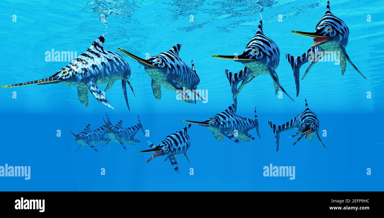 A Eurhinosaurus marine reptile pod swim together to hunt for their prey