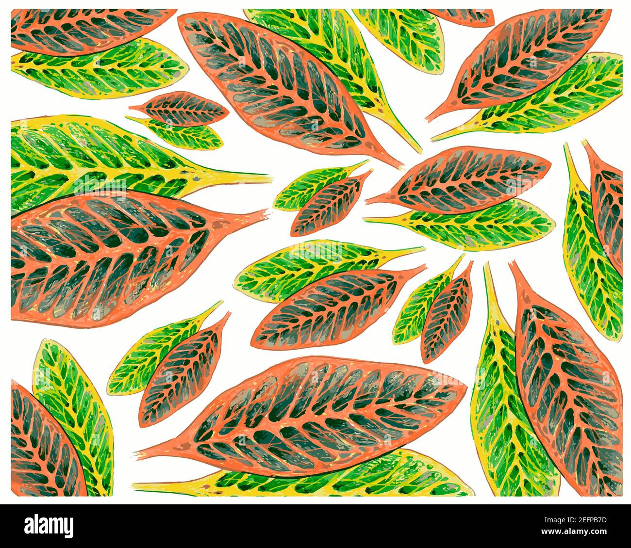 Ecological Concept, Illustration Background of Beautiful Green and Yellow Spot Croton Plants or Codiaeum Variegatium Plants For Garden Decor. Stock Photo