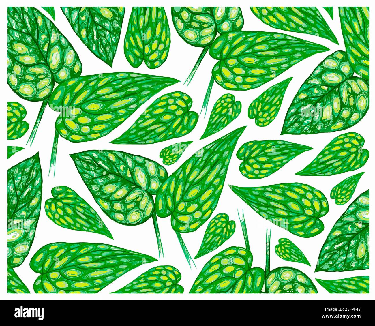 Ecology Concepts, Illustration Background of Monstera Peru or Karstenianum Plants. Stock Photo