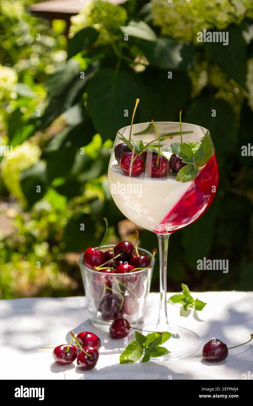 Summer dessert in wine glass with cherry. Panna cotta with berries in glass on garden background. Stock Photo