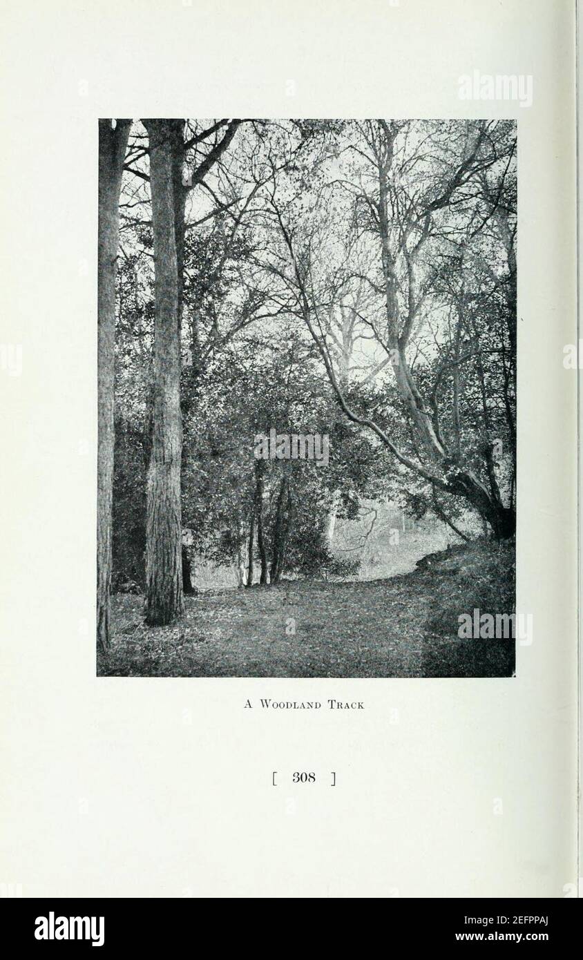 Old west Surrey (Page 308) Stock Photo