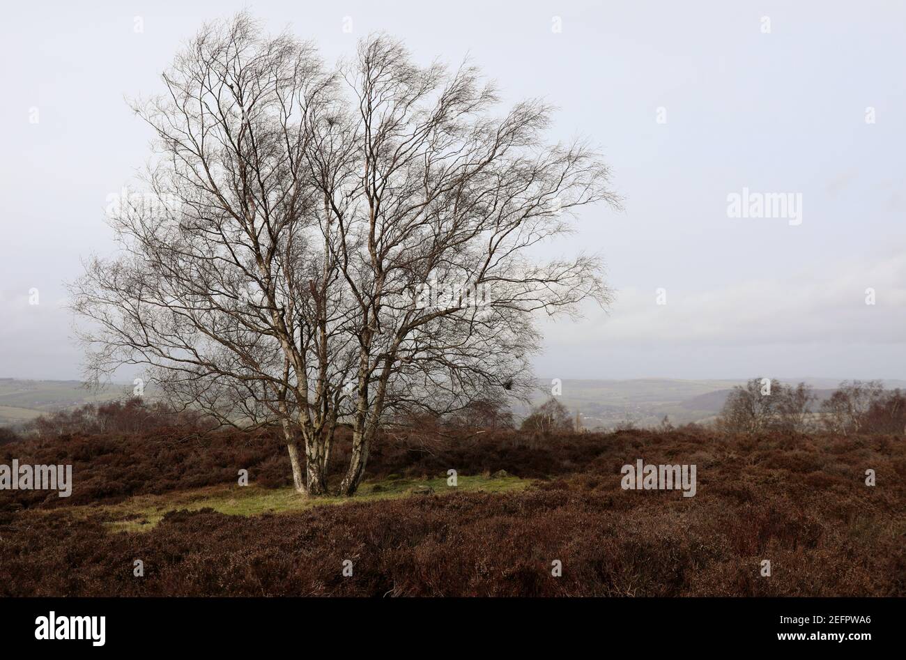 Stanton Moor in winter Stock Photo