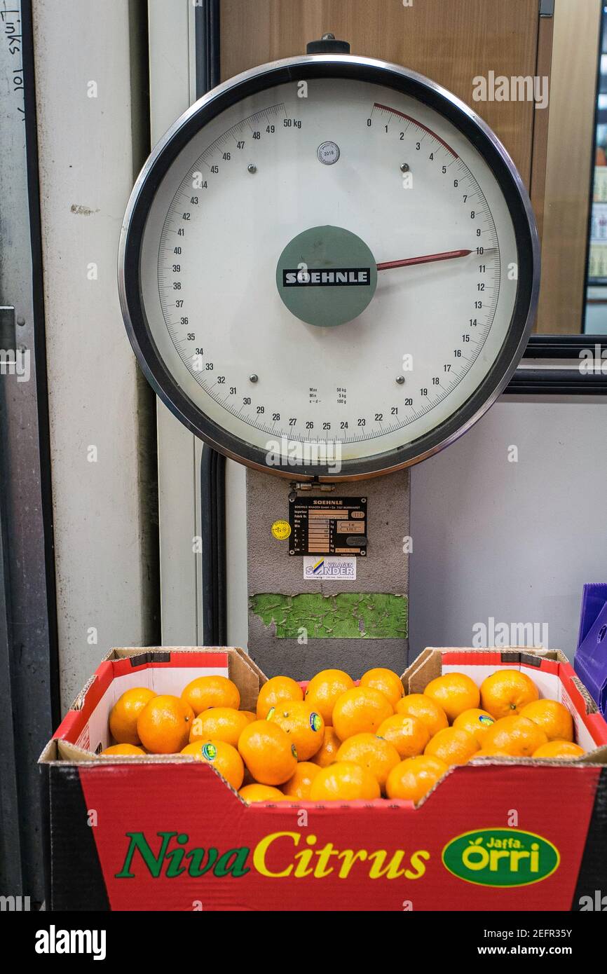 Oranges weight on scale Bremer Großmarkt (wholesale market) Bremen,Germany Stock Photo