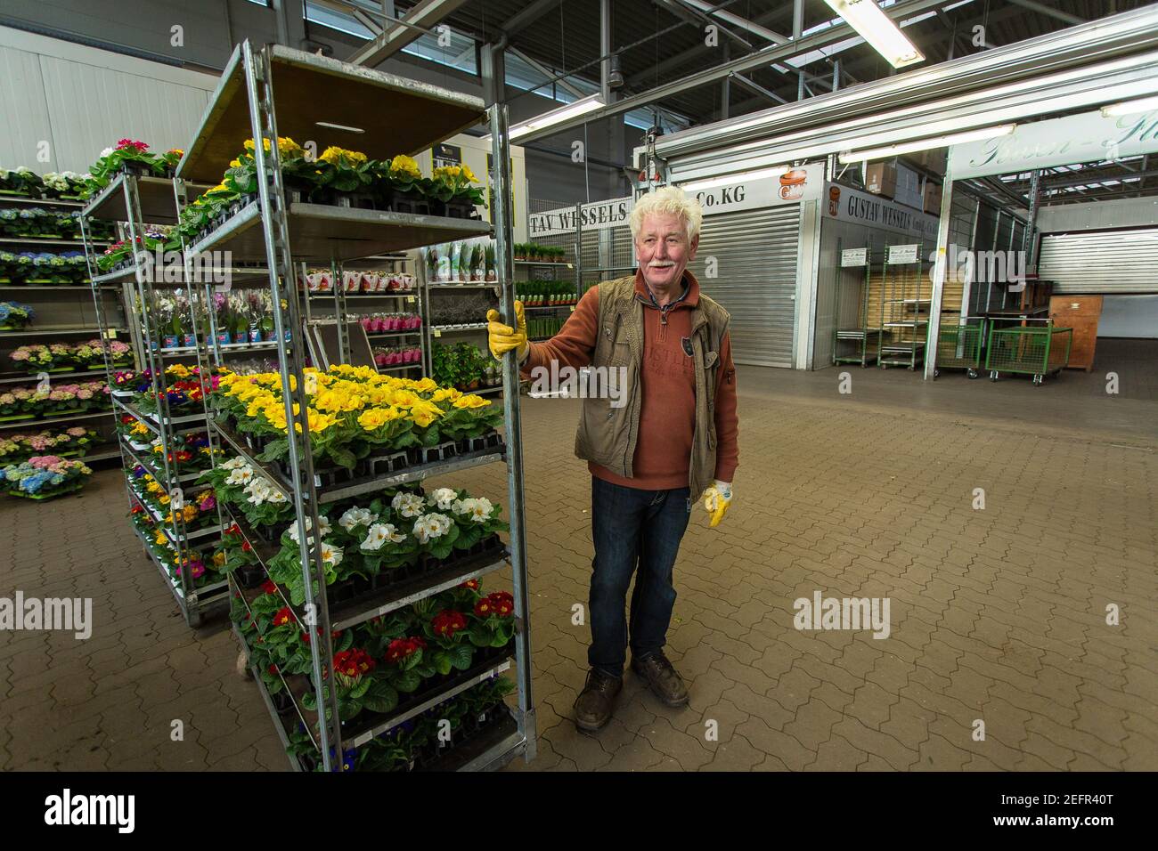 Blumenmarkthalle hires stock photography and images Alamy