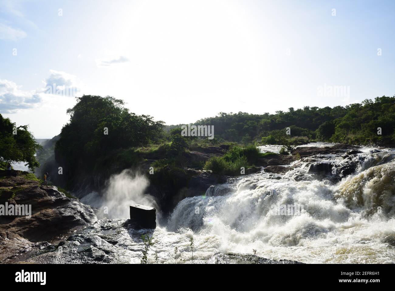 Murchison Falls National Park Uganda, white water, rocks, roaring water in beautiful green forest  Stock Photo