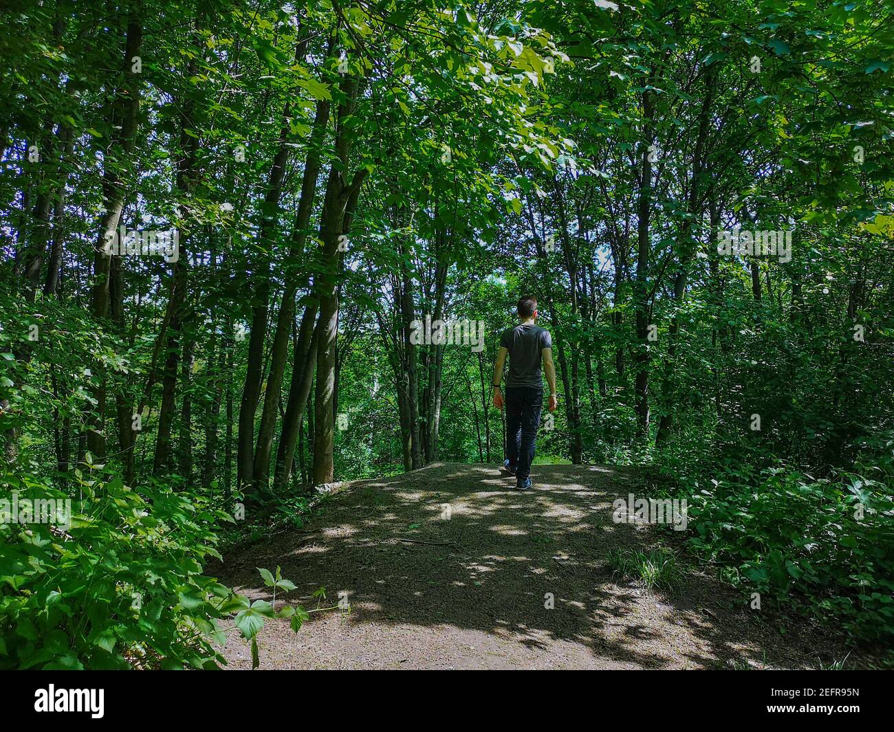 Man in t-shirt at edge of hill in park with thin trees Stock Photo