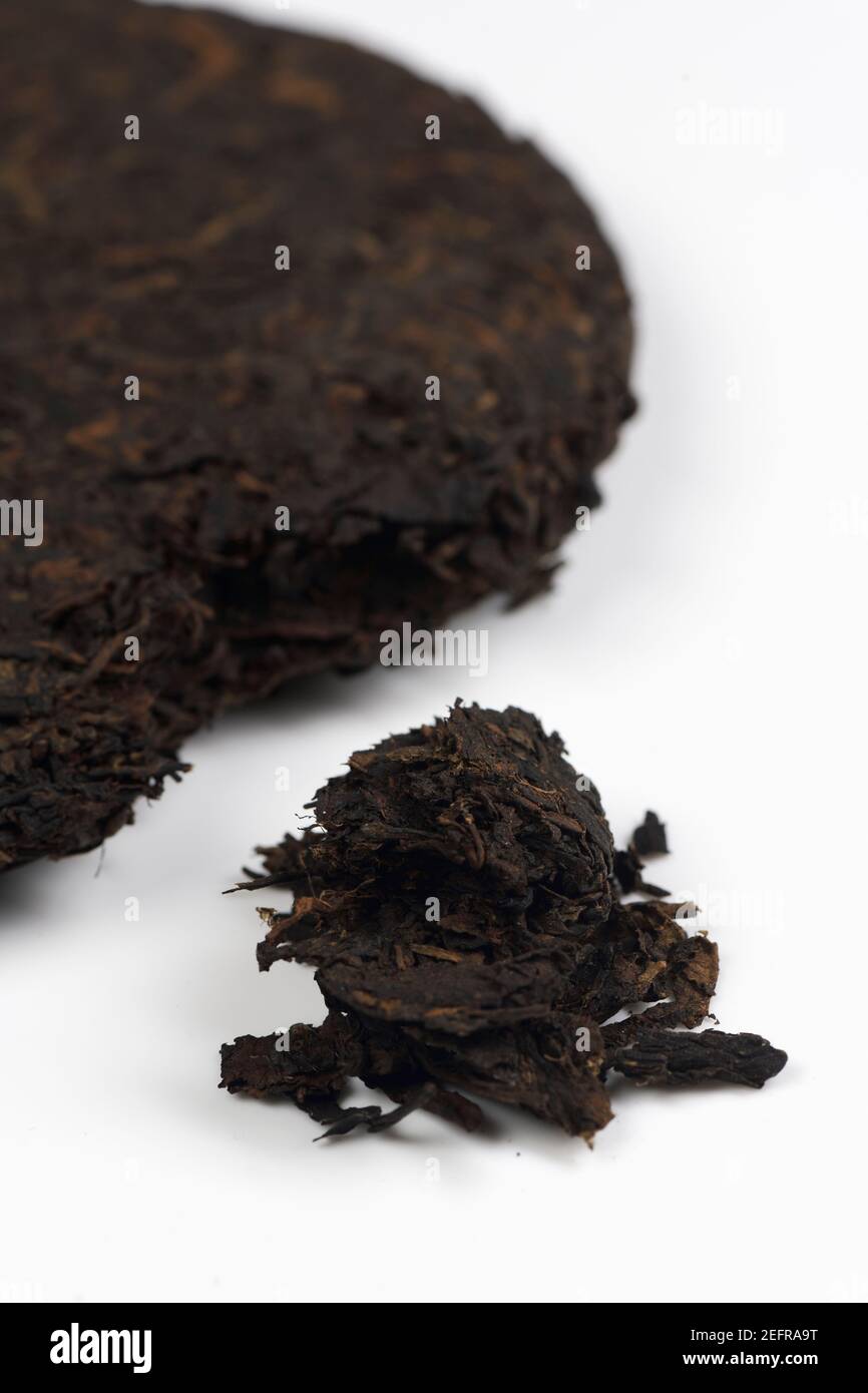Pu'er or Pu-erh. Closeup of fermented Chinese ripened black tea aged for over 20 years. White background. Puer, pu-er. Bingcha, Bing, Beeng. Qīzí bǐng Stock Photo