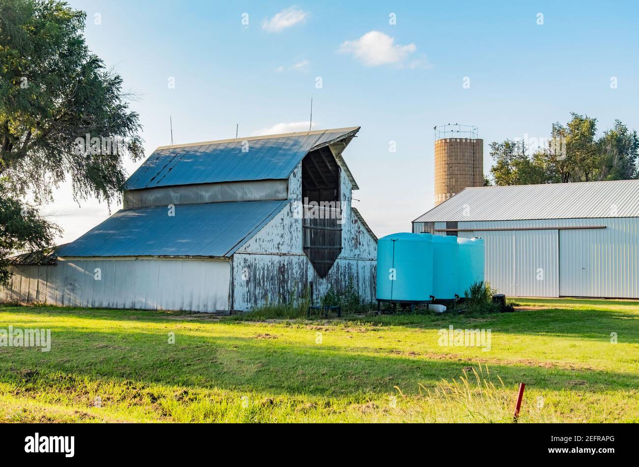 American barn with white peeling paint and tin roof. Storage tanks, a silo, and outbuilding in a farmyard. USA. Stock Photo