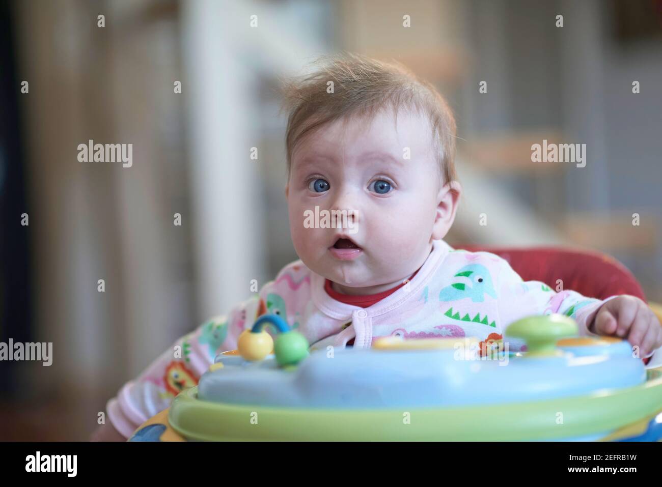 baby learning to walk in walker Stock Photo Alamy