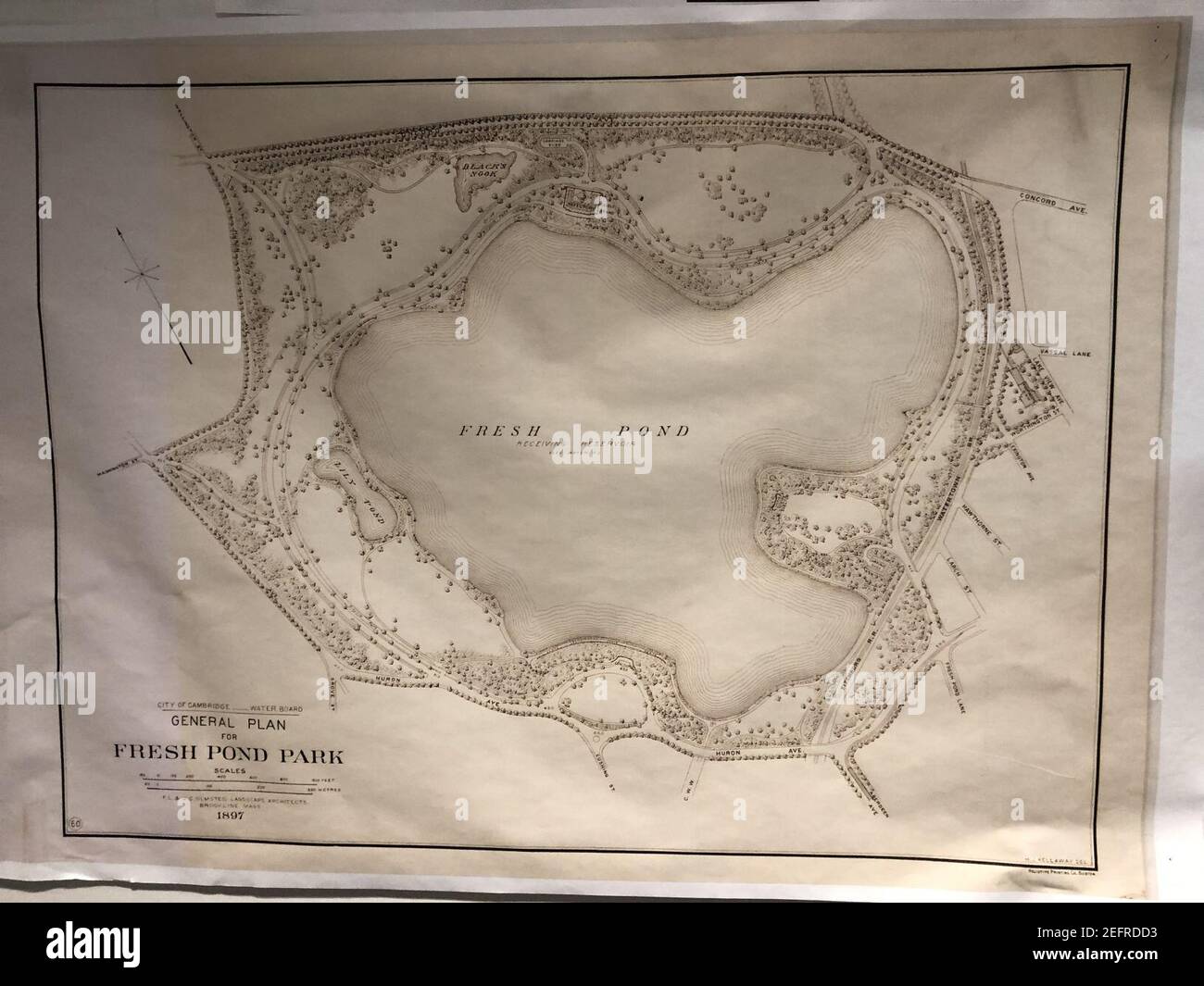 Olmsted Fresh Pond Park map 1897.agr Stock Photo Alamy