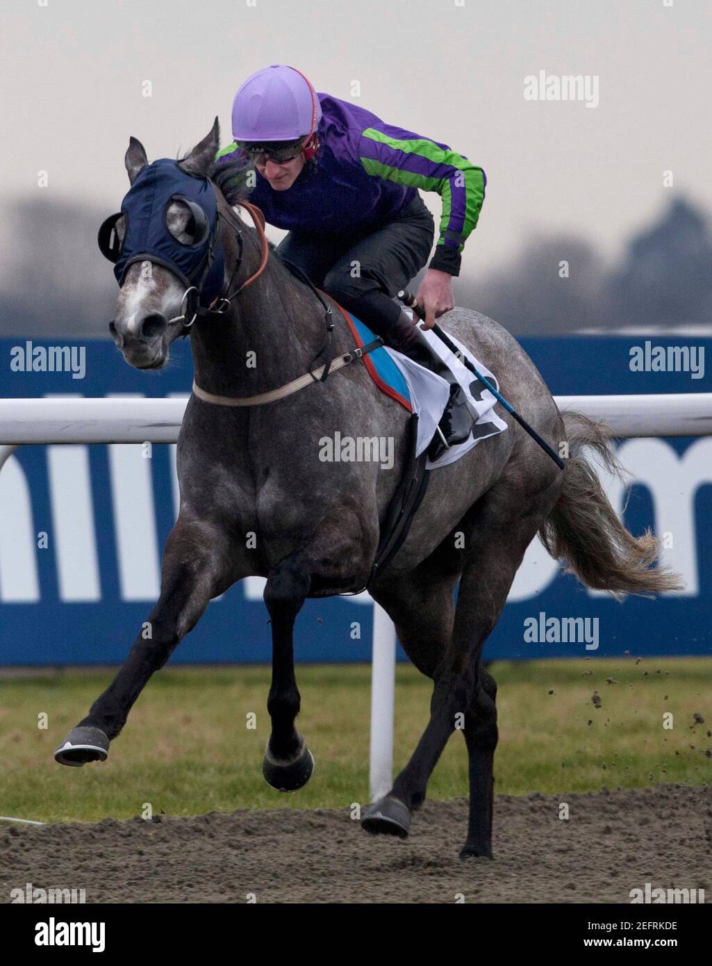 Horse Racing - Kempton - Kempton Park Racecourse - 8/2/12  Silver Linnet ridden by Adam Kirby wins the 14.20 Free Entry For Betdaq Members Handicap Stakes  Mandatory Credit: Action Images / Julian Herbert  Livepic Stock Photo