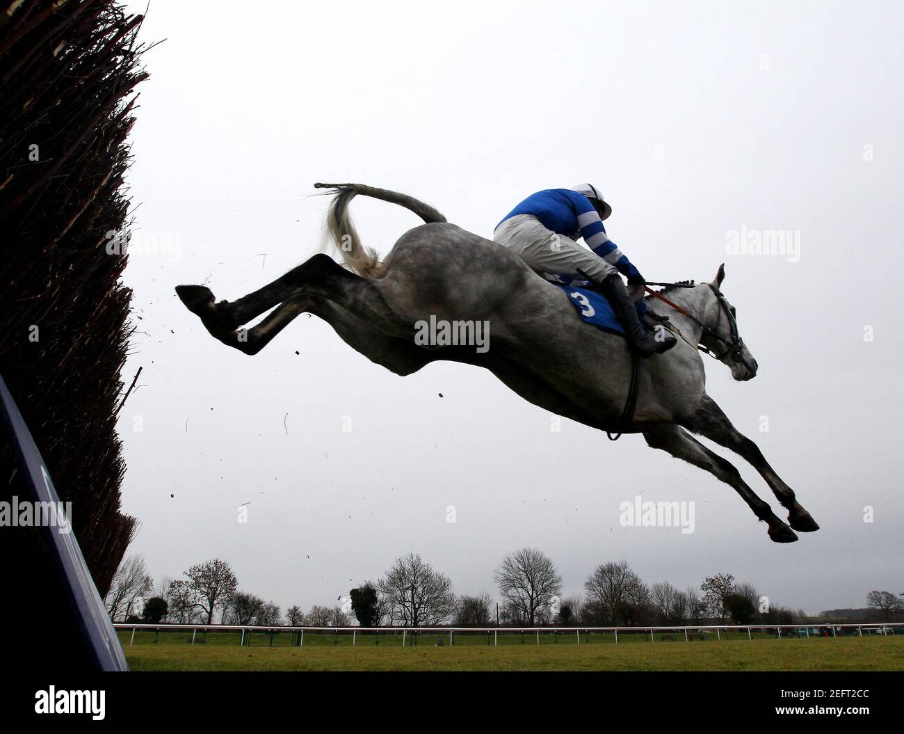 Messenger Horse High Resolution Stock Photography And Images Alamy