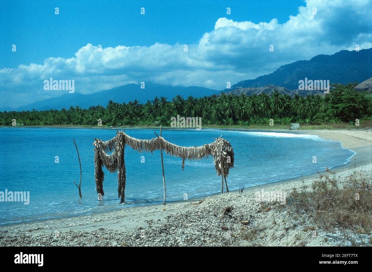 Pemuteran Beach - Bali - Indonesia 1983 (Photo on photographic film Stock  Photo - Alamy