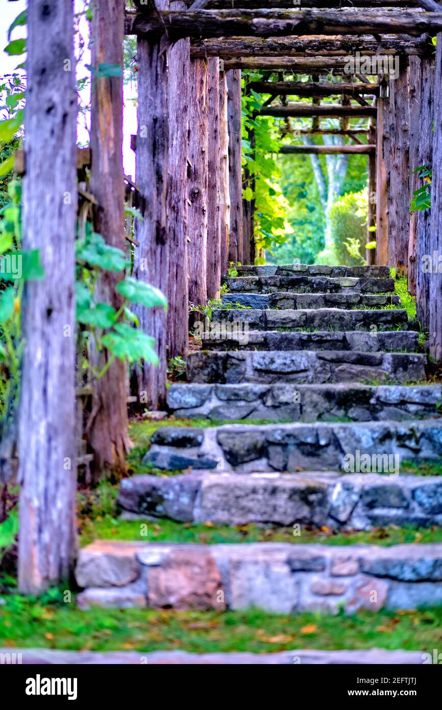 Wooden Beam Trellis Perspective with Stone Steps, New Jersey Stock Photo