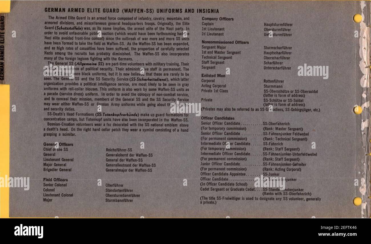 ONI JAN 1 Uniforms and Insignia Page 041 German Armed Elite Guard Waffen-SS WW2 1943 Ranks etc. Recognition manual for field use. US unclassified public document. Published 1944. . Stock Photo