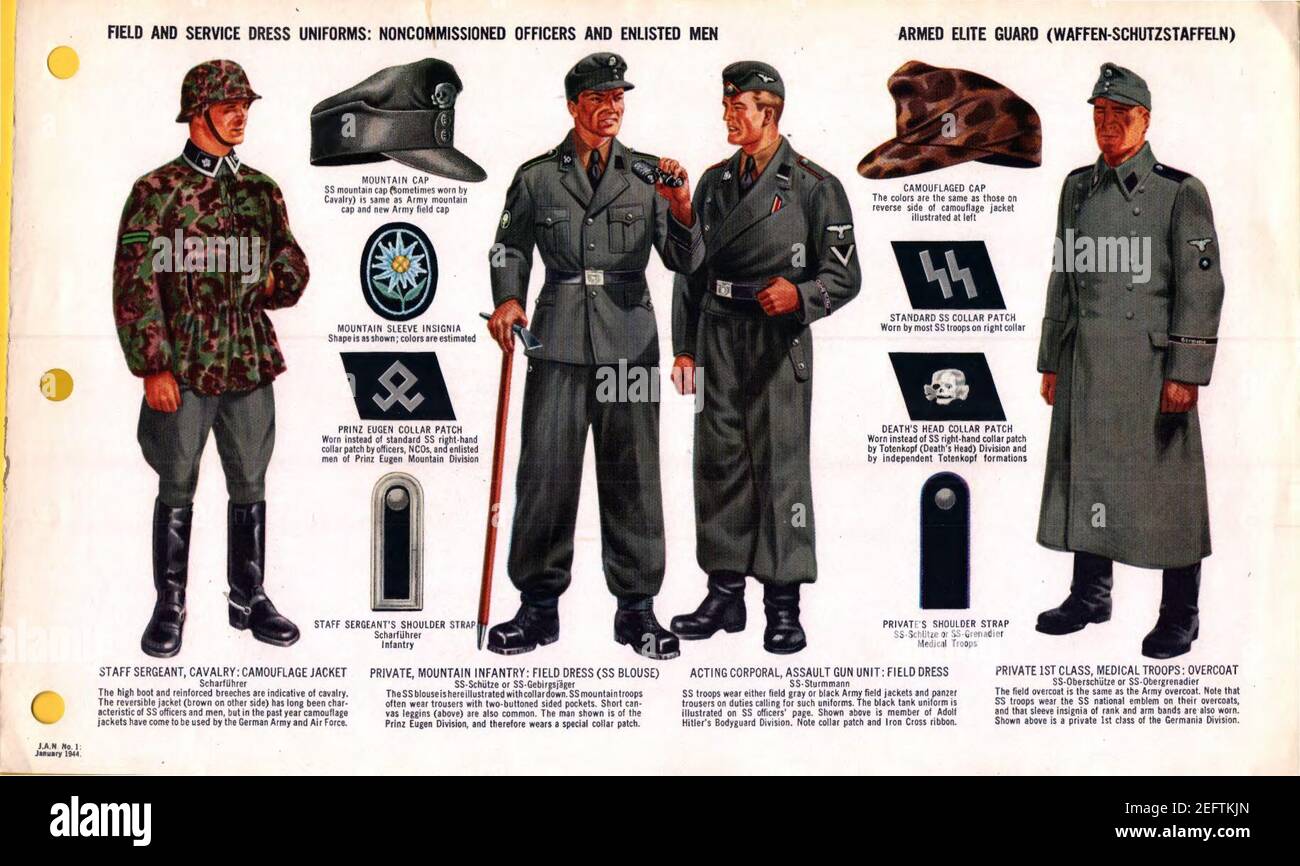 ONI JAN 1 Uniforms and Insignia Page 043 German Armed Elite Guard Waffen-SS WW2 Field, service dress uniforms. NCOs, EM. Camouflage, mountain Gebirgsjäger, Panzer, overcoat, etc. Jan. 1944 Field recognition.. Stock Photo