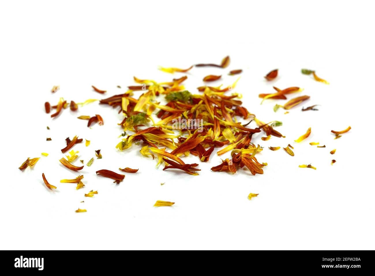Multicolored petals scattered on a white background Stock Photo