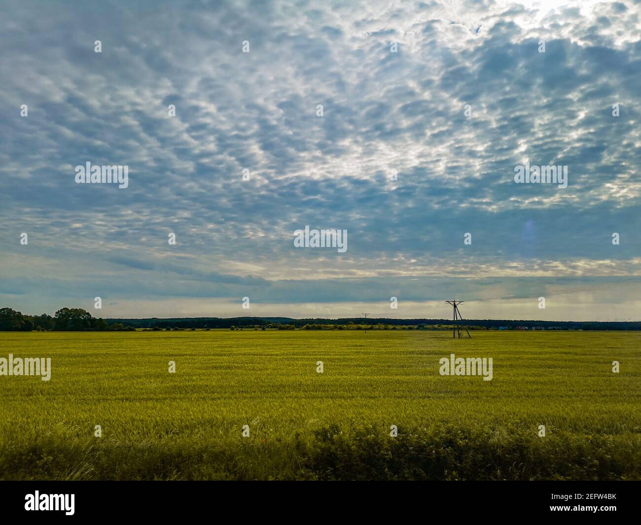 Beautiful cloudy morning over yellow fields from train Stock Photo