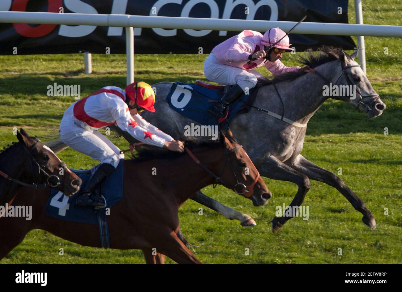 Horse racing the racing post trophy at doncaster hires stock