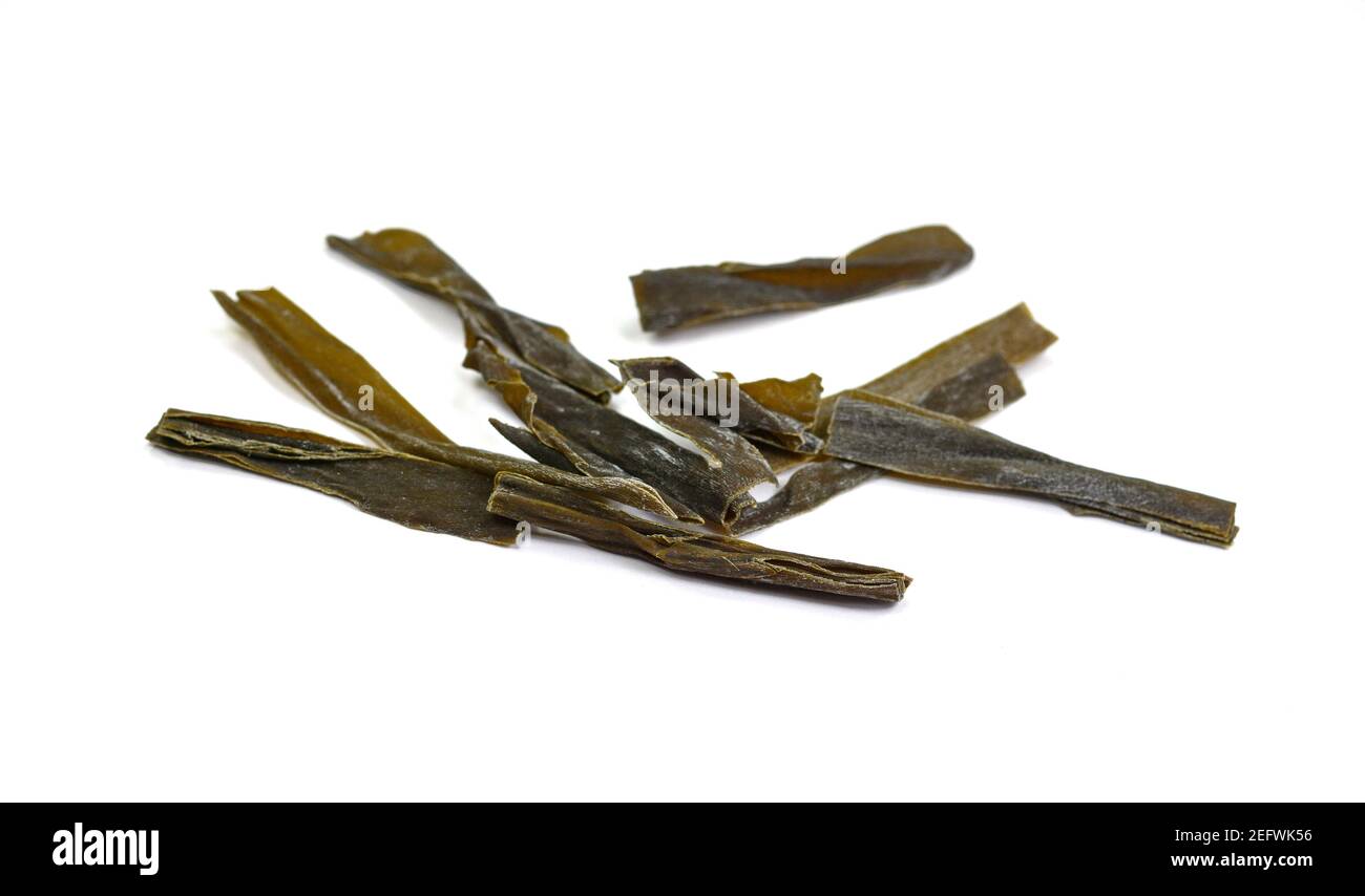 Dried kombu seaweed Japanese dry kelp isolated on white background