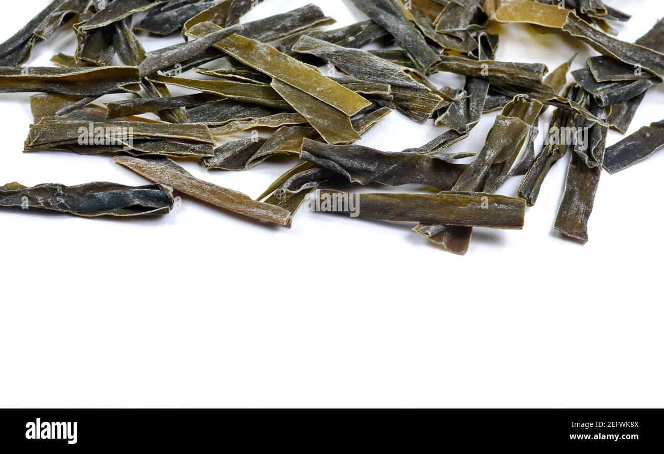 Dried kombu seaweed Japanese dry kelp isolated on white background