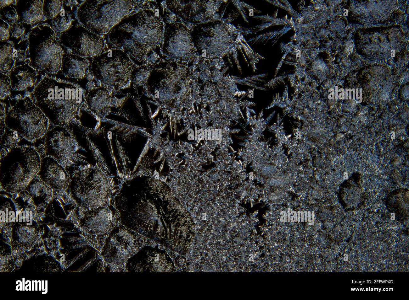 Macro of abstract shapes of ice crystals and frost flowers on a glass window with black background Stock Photo