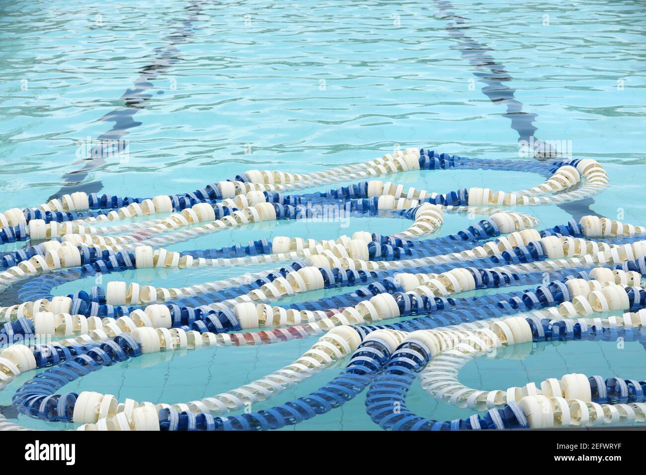 A unique view of tangled blue and white lane ropes at the end of a swimming pool. Lap lane lines visible under water. Stock Photo