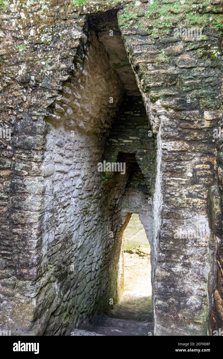 The Mayan Ruins of Cahal Pech outside of San Ignacio, Cayo, Belize Stock Photo