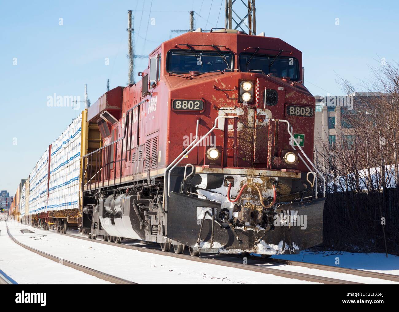 Freight train of CP Rail thunders towards Toronto showing signs of a recent collision with a moose Stock Photo