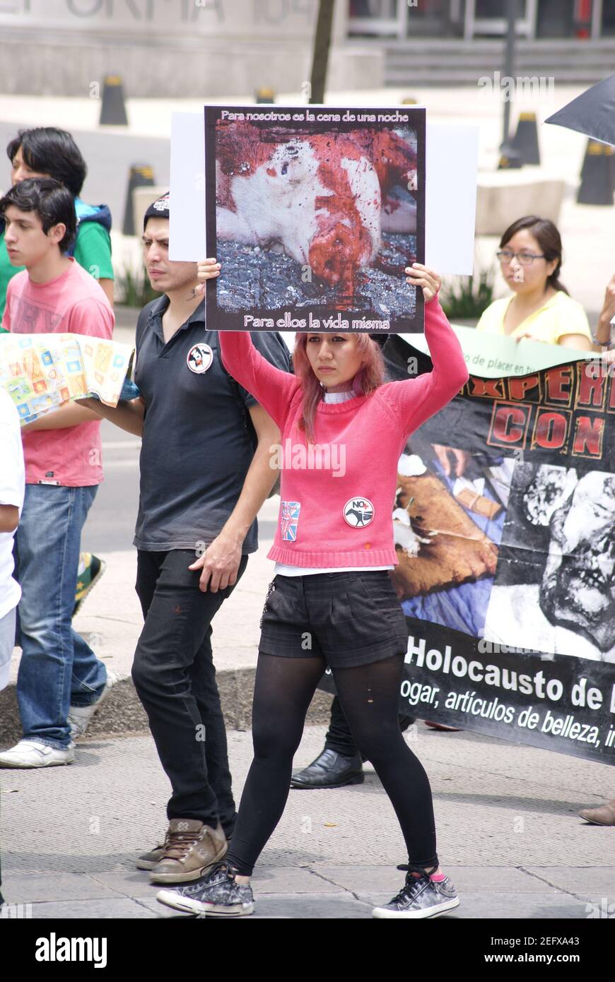 Showing the people's commitment to eradicating violence against animals Stock Photo