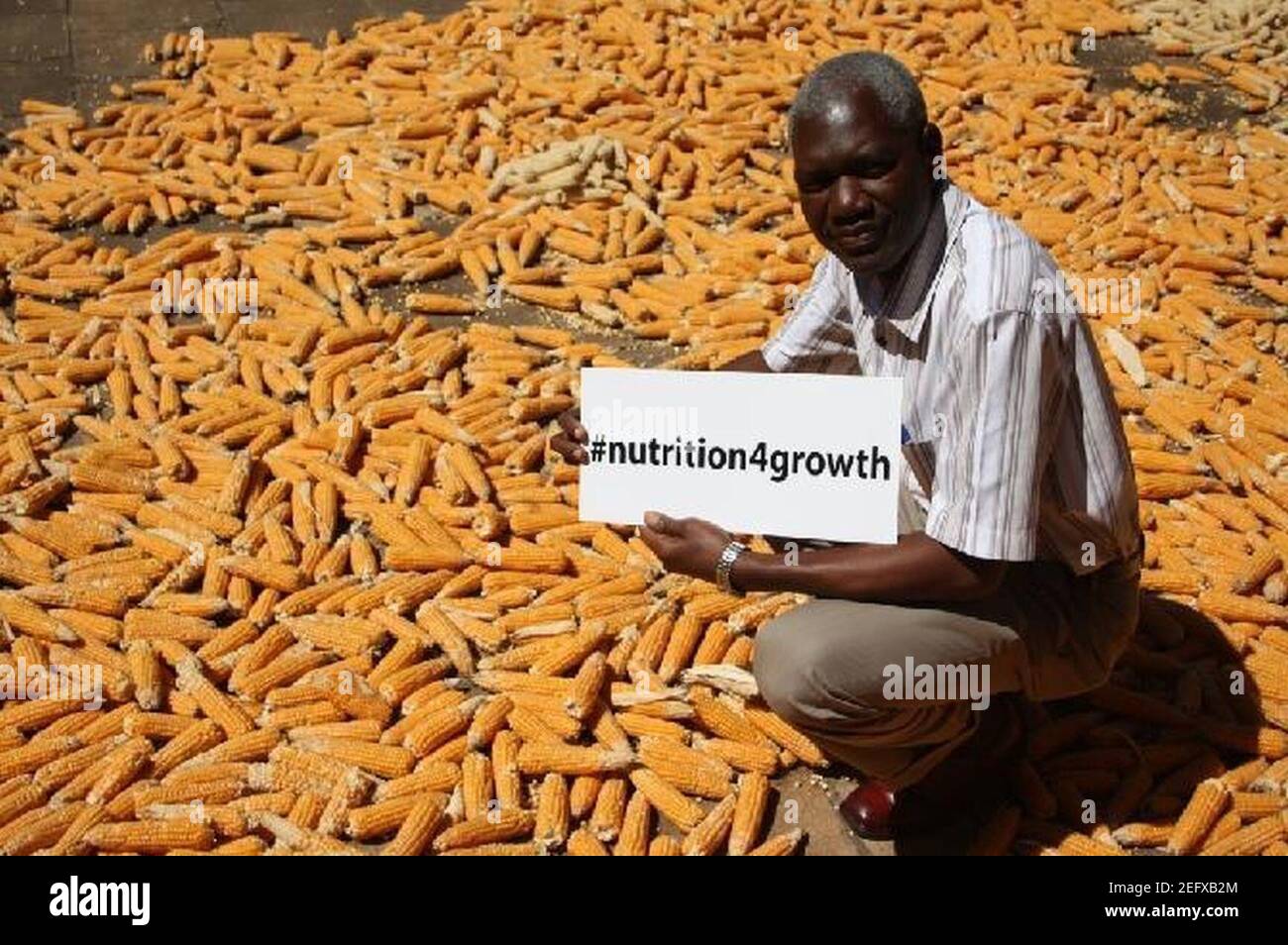 Orange Maize (14925956892 Stock Photo Alamy