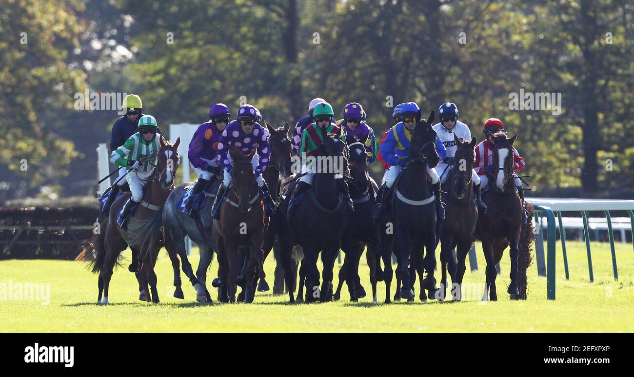 Fontwell High Resolution Stock Photography And Images Alamy