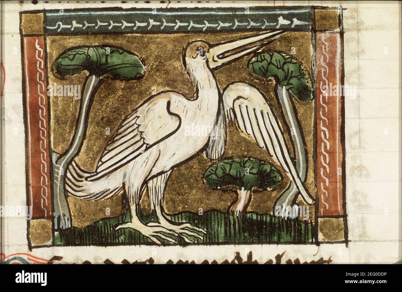 Osma (kind of swan) - Der naturen bloeme - Jacob van Maerlant - KB KA ...
