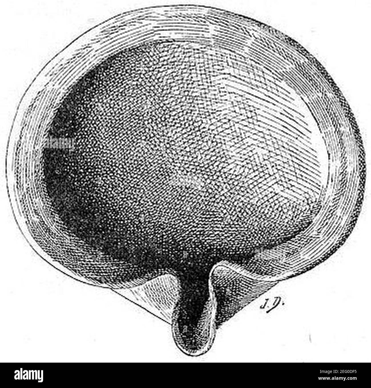 Tabnit Osman Hamdi Bey. Le tombeau de Tabnit. Lampe en terre euite (hypogée B ...